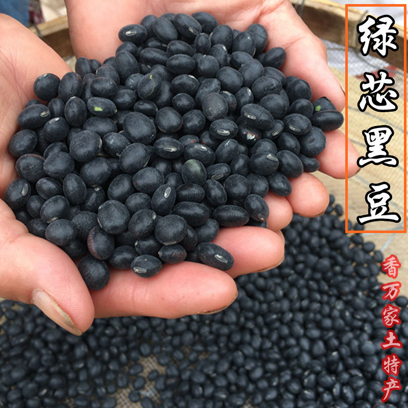 不打蜡农家新绿芯黑豆