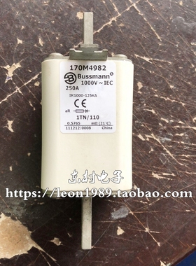 美国EATON熔断器 BUSSMANN保险丝 170M4982 SCB4239 250A 1000V