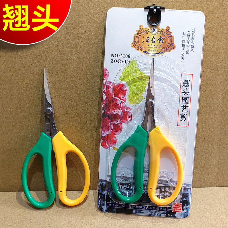 汪吾铨2108翘头园艺剪刀阳光玫瑰葡萄采摘剪家用蔬稀果修枝尖剪子图片