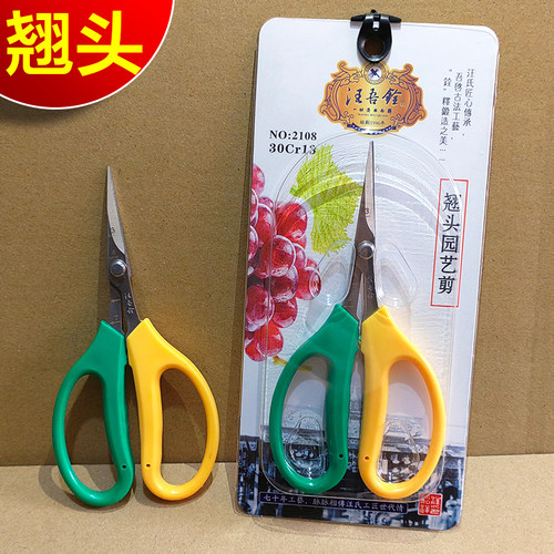 汪吾铨2108翘头园艺剪刀阳光玫瑰葡萄采摘剪家用蔬稀果修枝尖剪子