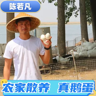 陈若凡生鲜鹅蛋真蛋农家特产鹅蛋