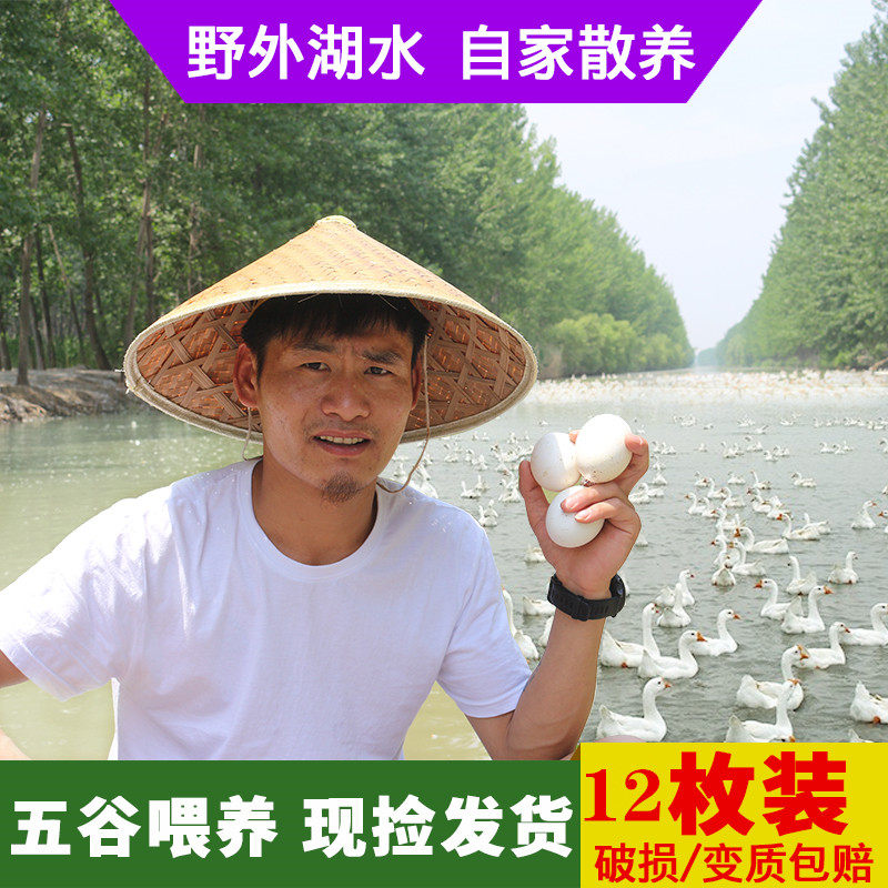 新鲜土鹅蛋农家散放养孕妇生食用精品正宗鹅蛋非鸭蛋假冒12枚装大,水产肉类/新鲜蔬果/熟食,鹅蛋,淘宝优惠券,粉丝福利购,淘宝优惠卷