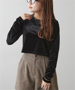 t恤打底衫 FL3 女士金丝绒字母长袖 圆领宽松短款 2日单NC春秋季