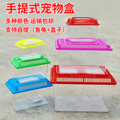 中小号宠物饲养盒透明手提爬宠饲养缸乌龟盒塑料鱼缸鱼盒带盖龟缸