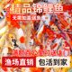 锦鲤活鱼观赏鱼大型长尾易养冷水淡水鱼锦鲤三色火鲤昭和黄金红白