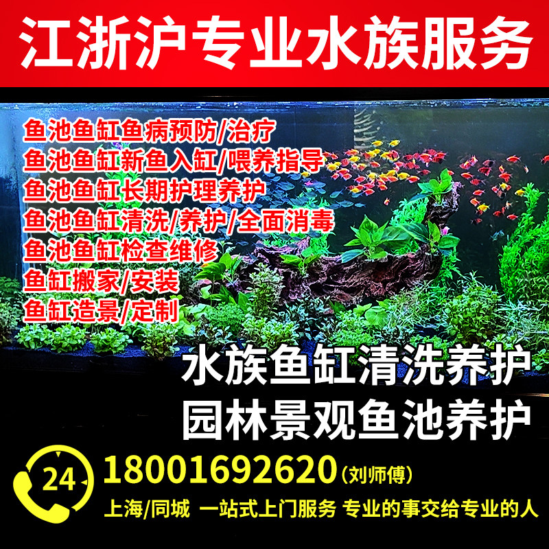 上海同城上门清洗保养水族鱼缸养护护理鱼池改造养护维护维修造景