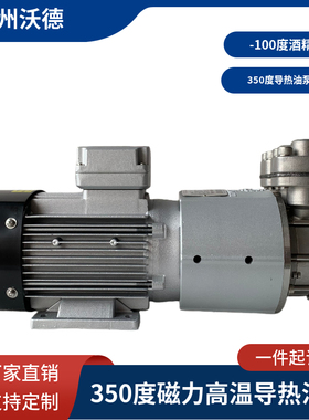 TECOTA MOTORI高温导热油泵MAP-3000泵 3KW高温磁力泵350度热油泵