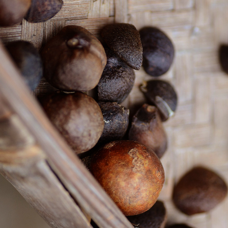 纯天然植物无患子茶籽洗碗液洗洁精果蔬专用宿舍小瓶学生酵素家用