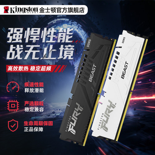 金士顿野兽系列ddr5台式机内存