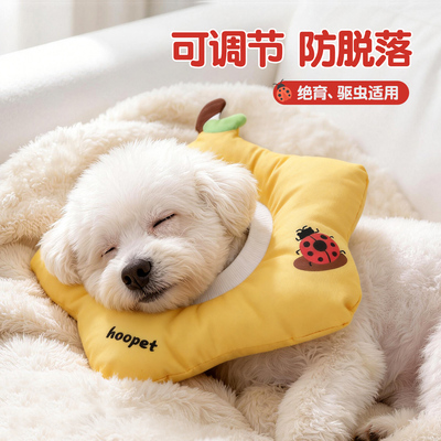 狗狗伊丽莎白圈绝育项圈防舔咬