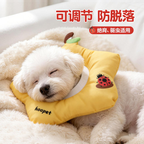 狗狗伊丽莎白圈绝育项圈防舔咬