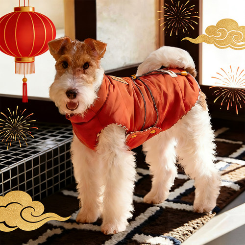 狗狗新年衣服过年冬装棉服小型犬保暖棉衣泰迪比熊加厚马甲红棉袄