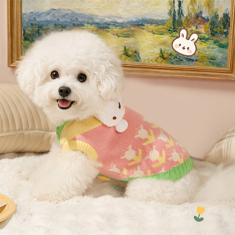 【冬季新款加厚毛衣】狗狗衣服