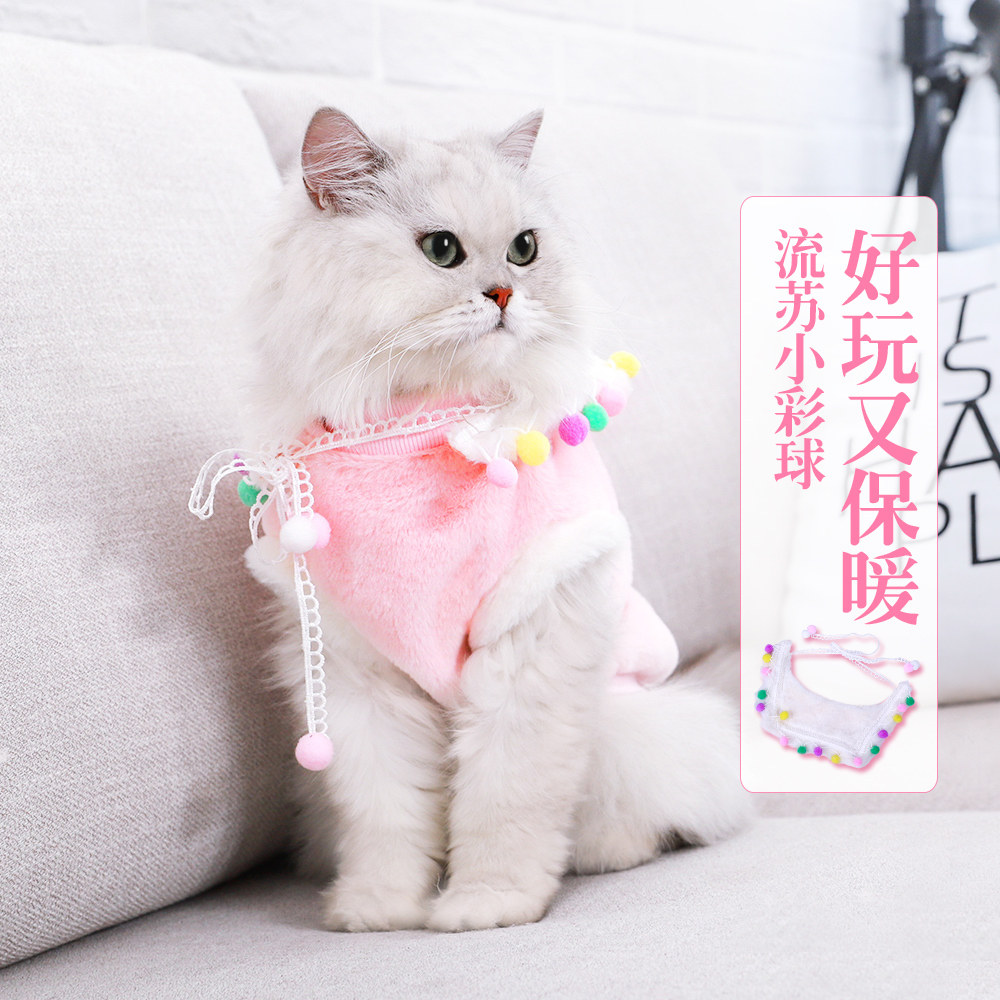 小猫咪衣服秋冬装猫猫小型幼猫蓝猫冬季可爱小奶猫的加厚宠物服装