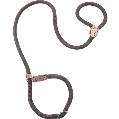 狗狗牵引绳P链项圈金毛小型犬