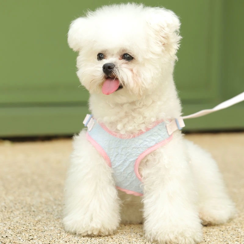 狗狗牵引绳遛狗绳小清新