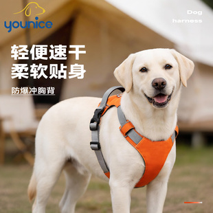 优莱仕狗狗牵引绳柯基柴犬小中大型犬手提防爆冲防挣脱背心胸背带