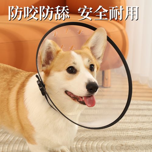 伊丽莎白圈宠物绝育防舔