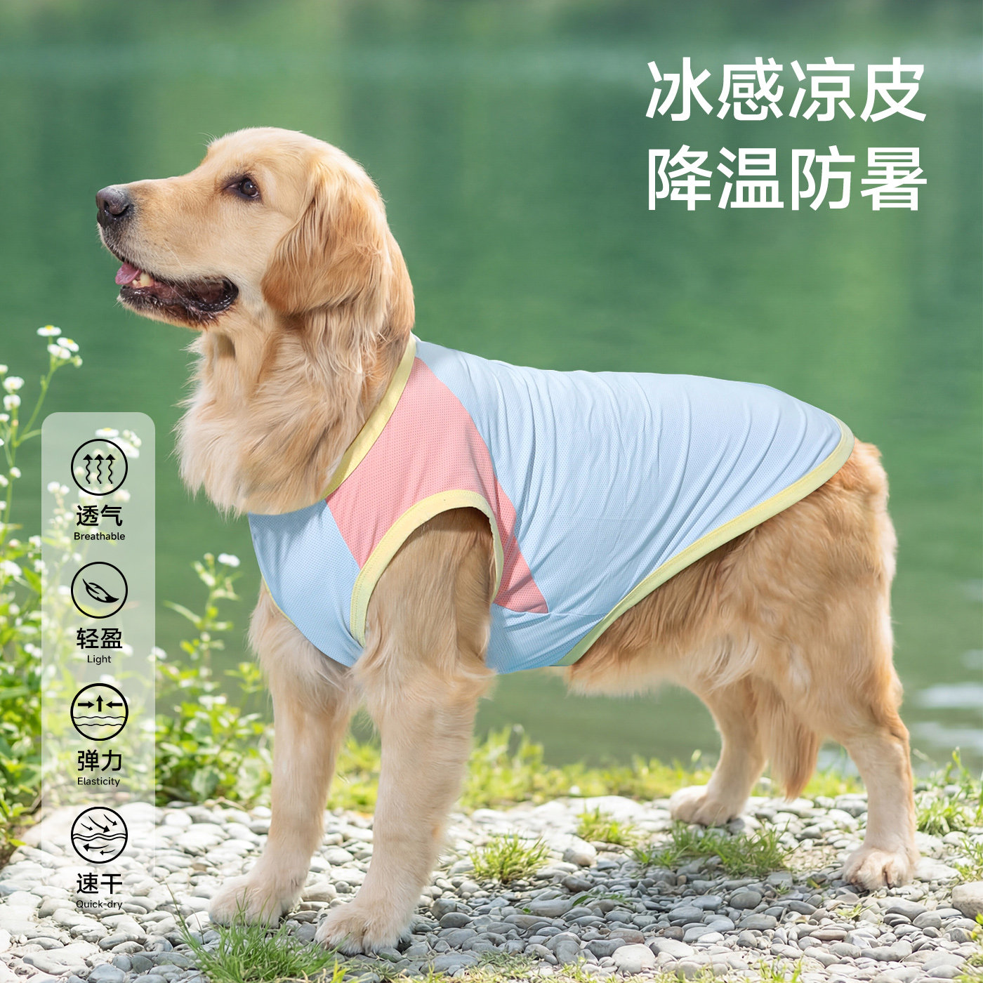 大狗夏季凉凉衣透气防晒图片