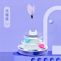 Гибискус -фиолетовый кошачий ход