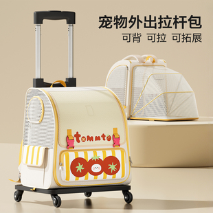 猫包外出便携大容量宠物外出包猫咪背包书包轻便款狗狗宠物拉杆箱