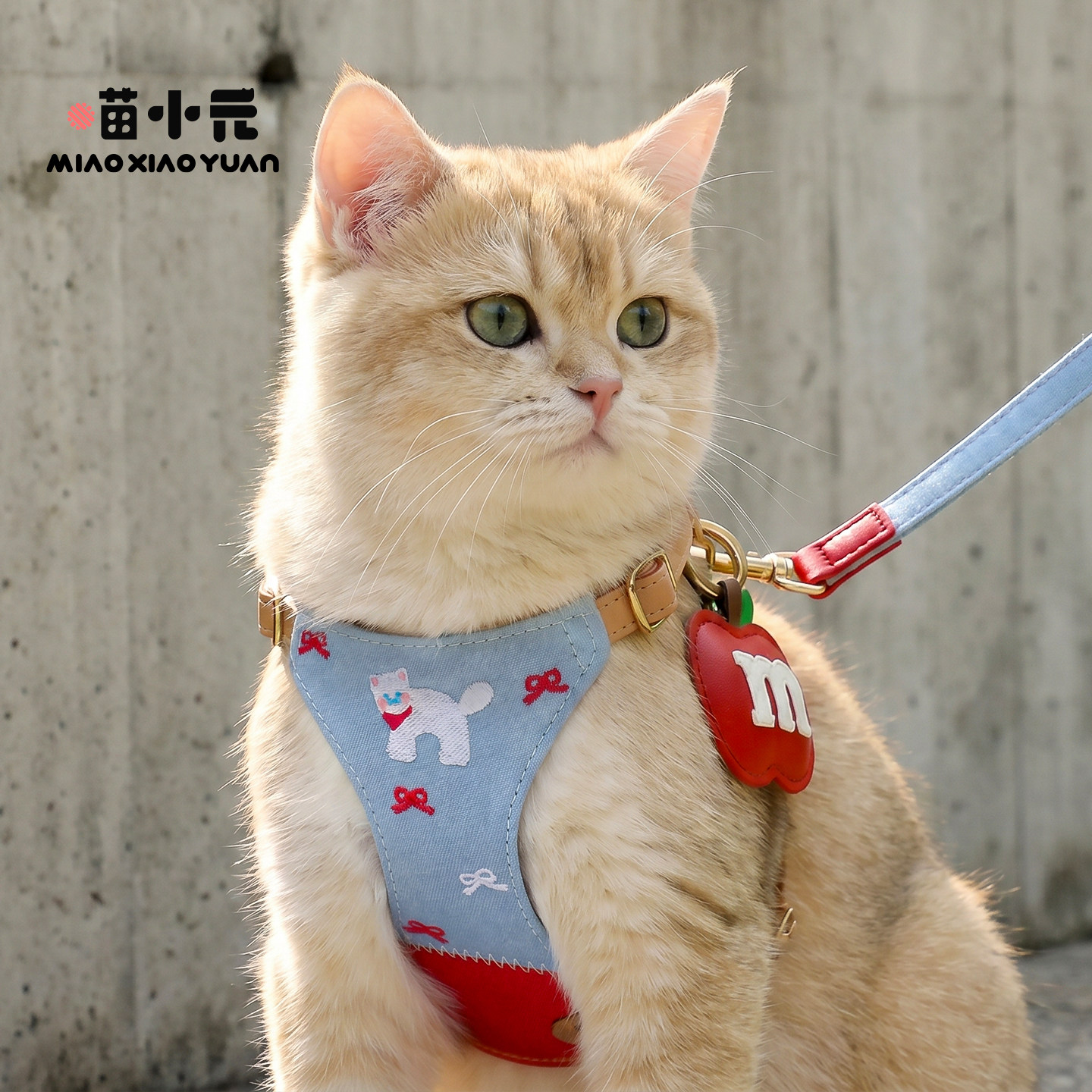 喵小元猫咪牵引绳小猫专用胸背带德文遛猫外出可调节防挣脱不勒脖