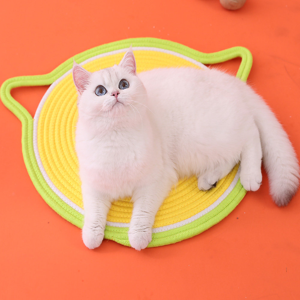 고양이 수면용 매트 강아지용 애완동물 매트 여름용 수면 매트 케이지 매트 플레이스 매트 고양이 모래 매트 고양이 사육용 특수 바닥 매트