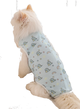 猫咪绝育服母猫手术服透气薄款小猫断奶服宠物衣服公猫防舔术后衣
