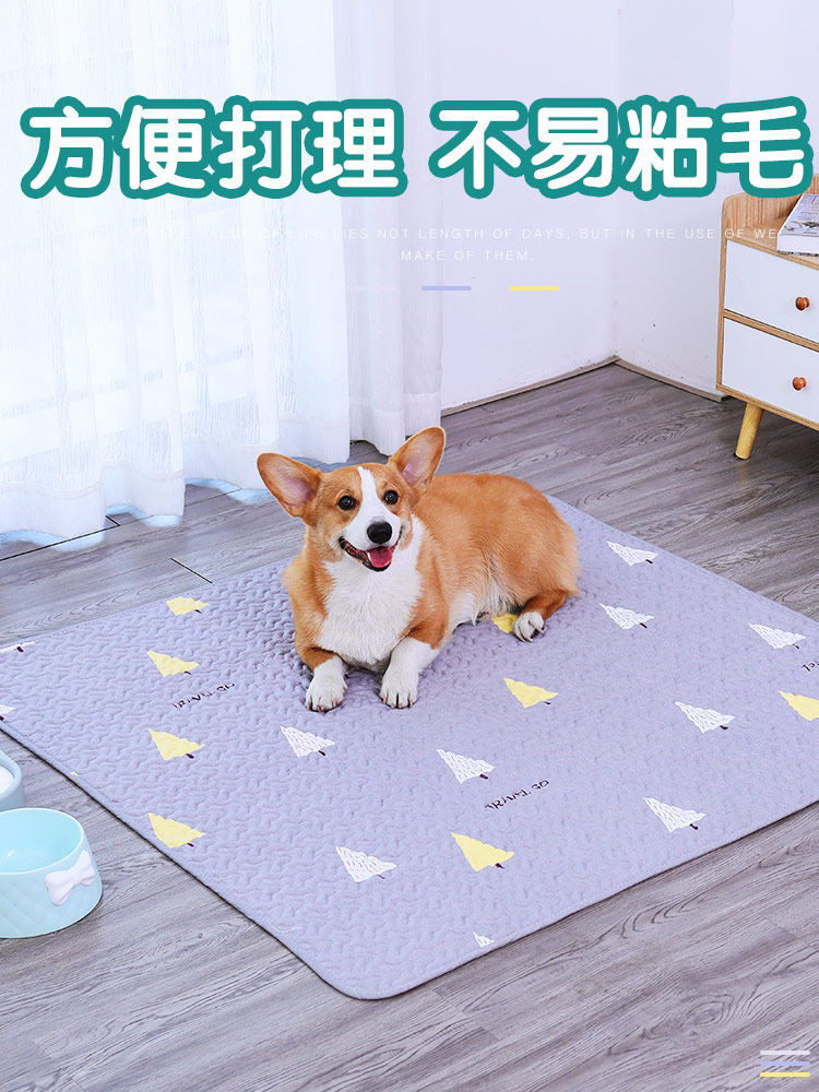 개집 개집 용 개 매트 매트 고양이 쓰레기 매트 플레이스 매트 여름 특별 바닥 매트 애완 동물 수면 매트