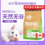 NGAY BÂY GIỜ 无 1-4-12 tháng mèo con thức ăn cho mèo 4 pound búp bê mèo xanh Garfield bánh sữa đặc biệt mèo thức ăn cho mèo mèo thức ăn chủ yếu - Cat Staples whiskas cho mèo con