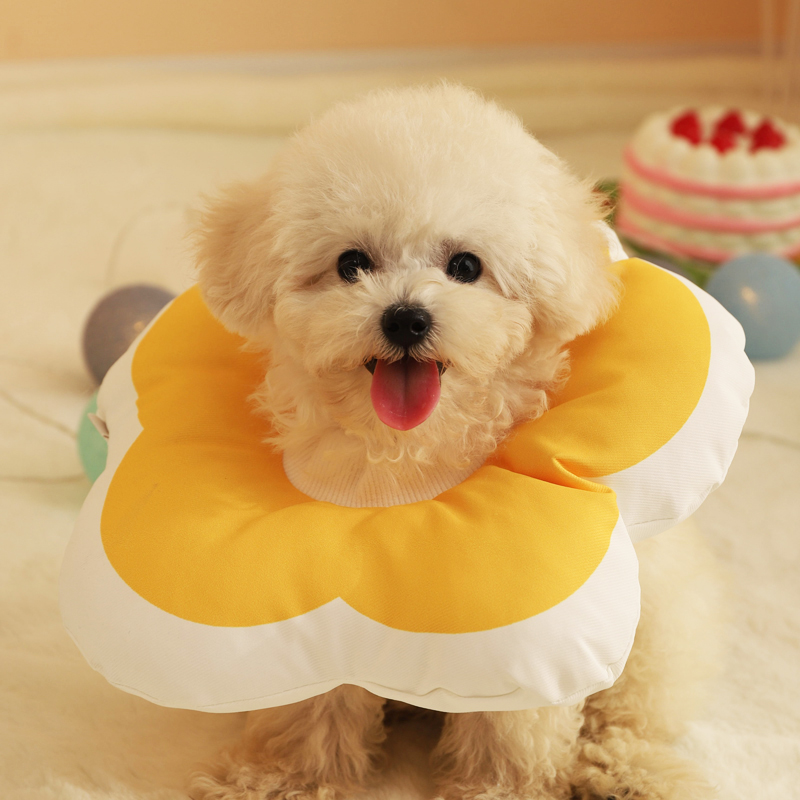 宠物伊丽莎白圈狗狗项圈围脖防舔防咬脖圈耻辱圈绝育头套饰品软圈