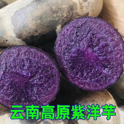 紫土豆云南高原种植新鲜黑土豆富含花青素黑美人紫洋芋马铃薯10斤