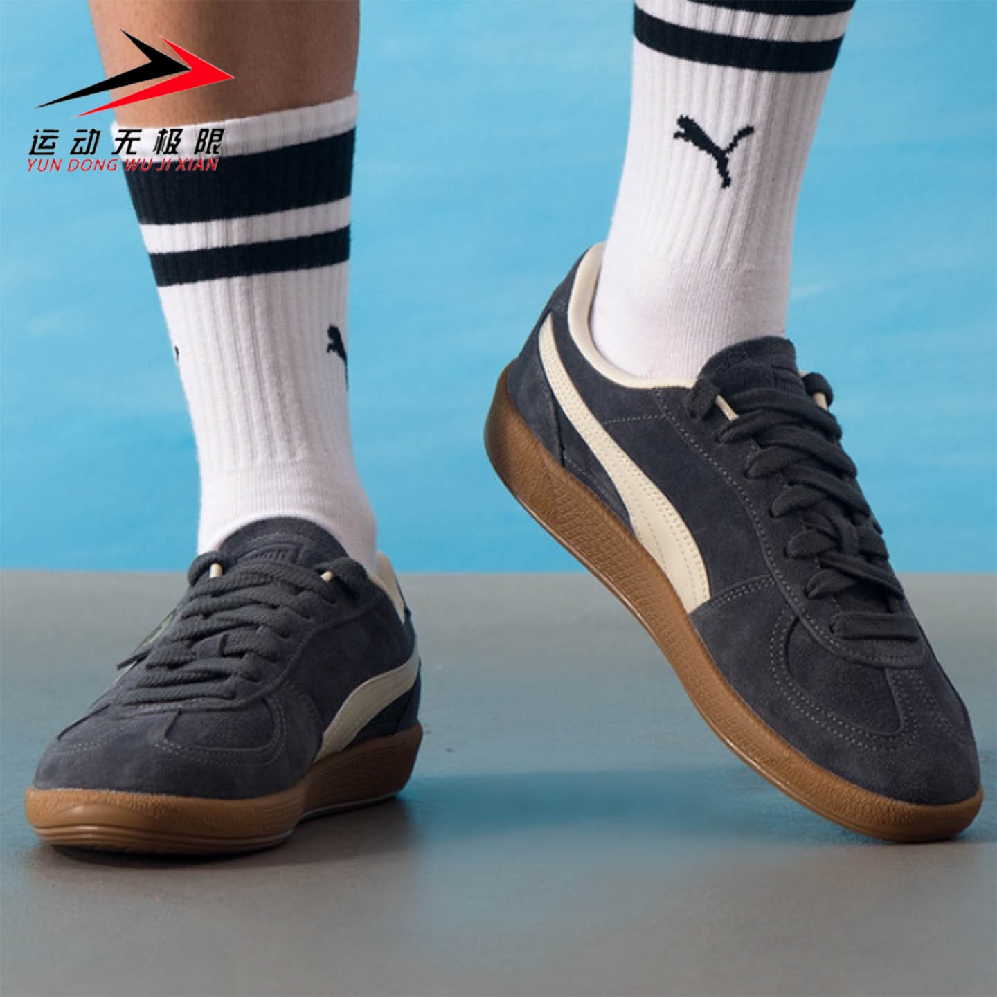 Puma彪马男女同款复古运动休闲鞋经典T字头板鞋2025冬季396463-81