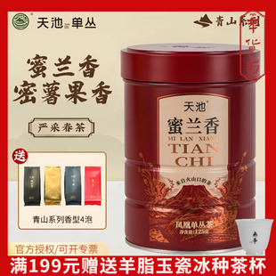 天池凤凰单枞茶叶 高山秋茶乌龙潮州单丛茶罐装 蜜兰香125g