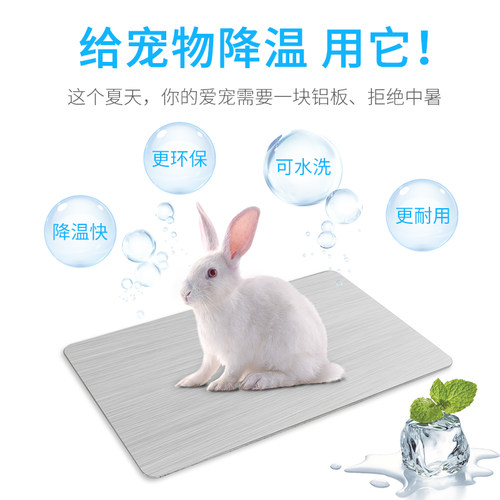 宠物降温板兔子散热板大号降温垫荷兰猪龙猫豚鼠苍鼠消暑散热铝板