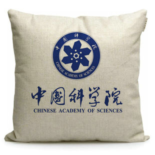 中国科学院大学纪念品周边定制毕业礼品同学聚会赠品靠垫抱枕