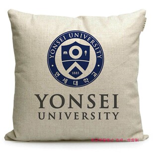 韩国留学礼品延世大学纪念品校友会周边布艺简约客厅靠垫抱枕