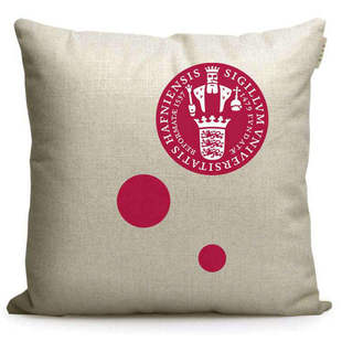 丹麦哥本哈根大学纪念品校徽标志礼品留学生校友会赠品靠垫抱枕