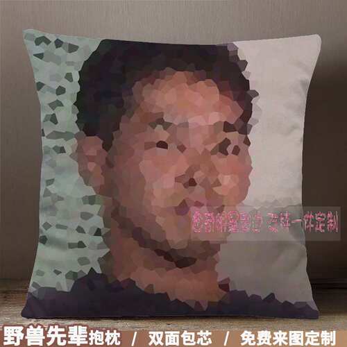野兽先辈抱枕DIY周边ISLANDERS真夏夜银梦114514恶臭田所浩二抱枕