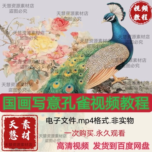 孔雀国画视频教程零基础到精通系统课自学素材源文件