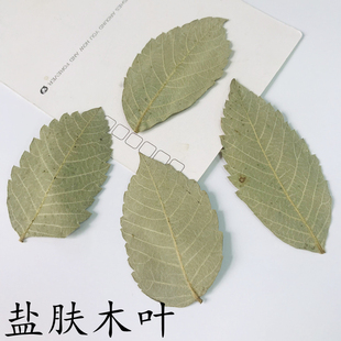 盐肤木叶 干树叶画框植物标本装饰画幼儿园亲子diy手工干花叶贴画