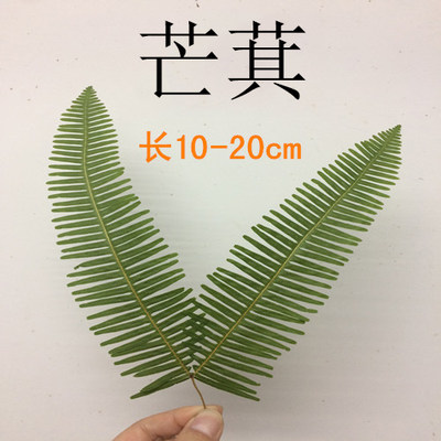 植物标本干花装饰品diy手工材料