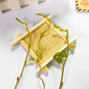 葛根藤天然干花diy押花画框幼儿园手工植物标本 压花书签花材藤条