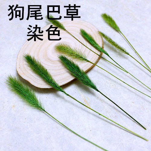 植物教学押花滴胶手机壳狗尾巴草