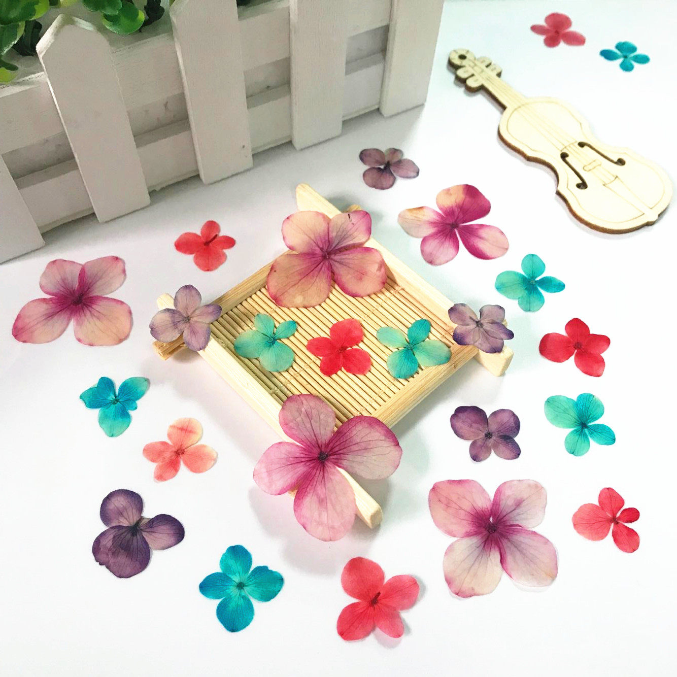绣球花 紫阳花吸色绣球花diy永生花手机壳干花幼儿园贴画押花压花