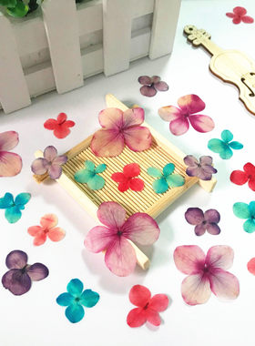 绣球花吸色 diy永生花手机壳干花吊坠幼儿园手工贴画押花压花标本