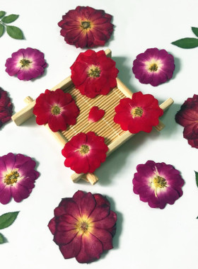 玫瑰花 玫瑰叶 玫瑰花苞押花diy手工花材脸妆美甲贴花干花标本