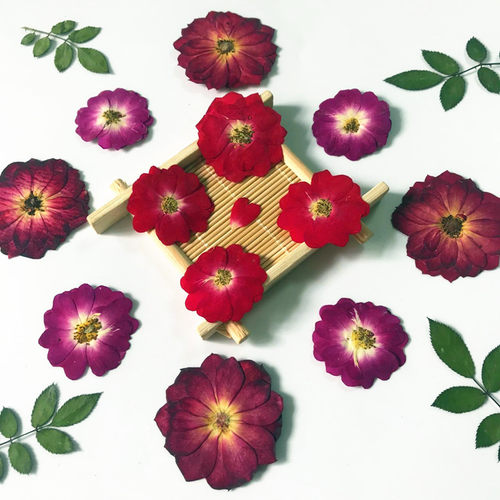 玫瑰花干花diy手工月季压花