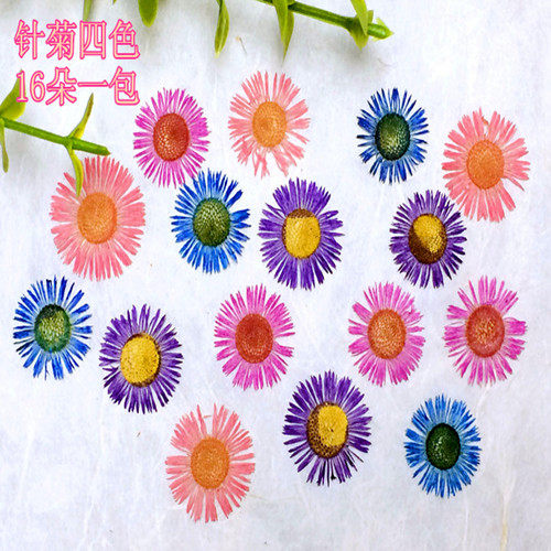 滴胶diy手工植物教学材料干花