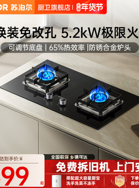 苏泊尔MB16S燃气灶煤气灶双灶家用猛火天然气液化灶台